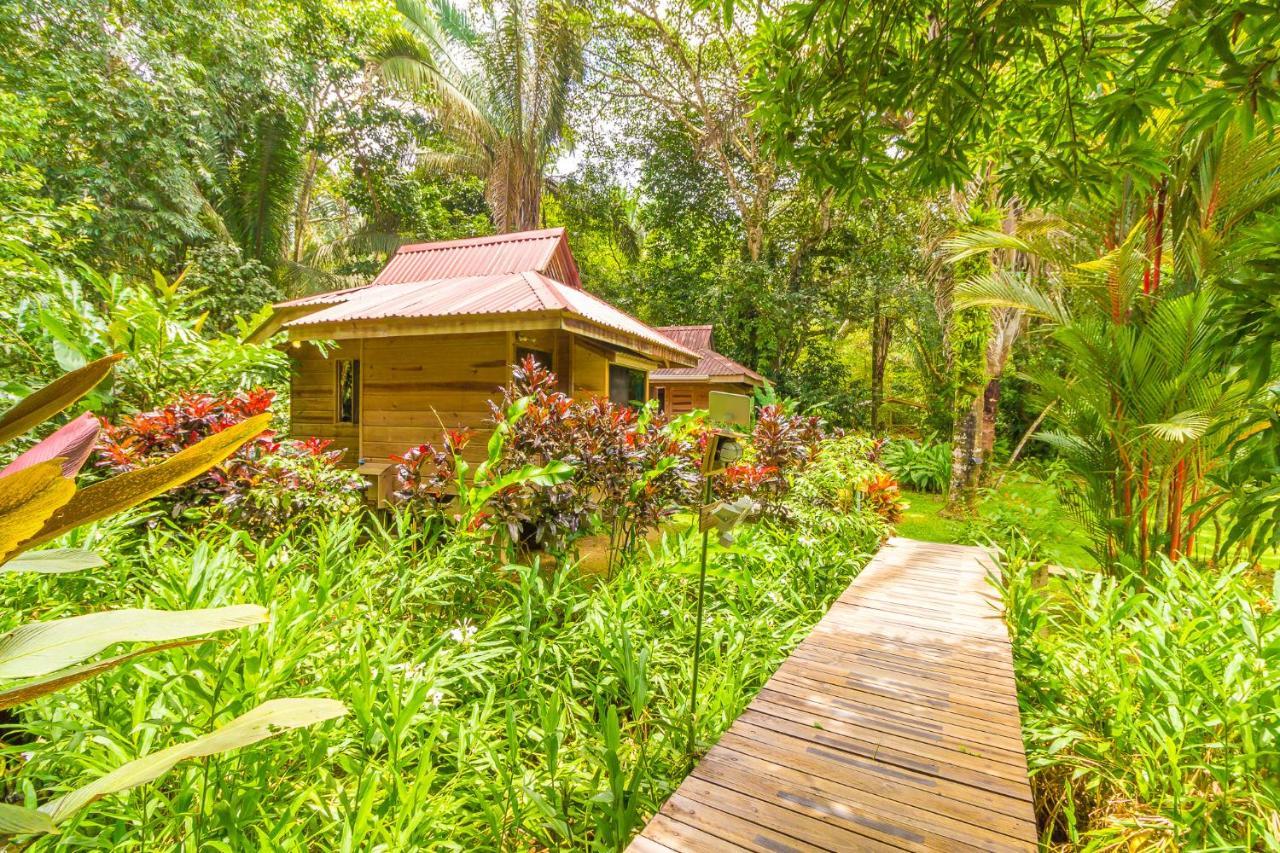 Hotel El Mono Feliz Ойокал Екстер'єр фото